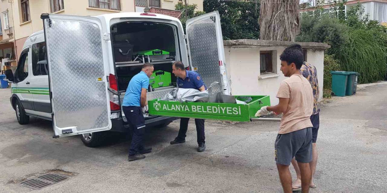 Alanya’da Boş Binanın Bahçesinde Erkek Cesedi Bulundu