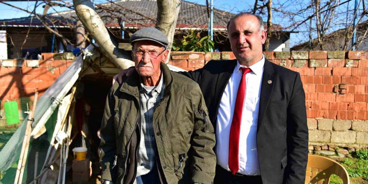 İncirliova’nın Asırlık Çınarı Hayata Gözlerini Yumdu