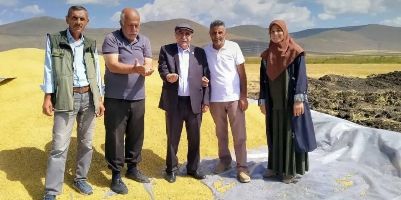 Tmo Ardahan’da İlk Kez Hububat Alıma Başladı