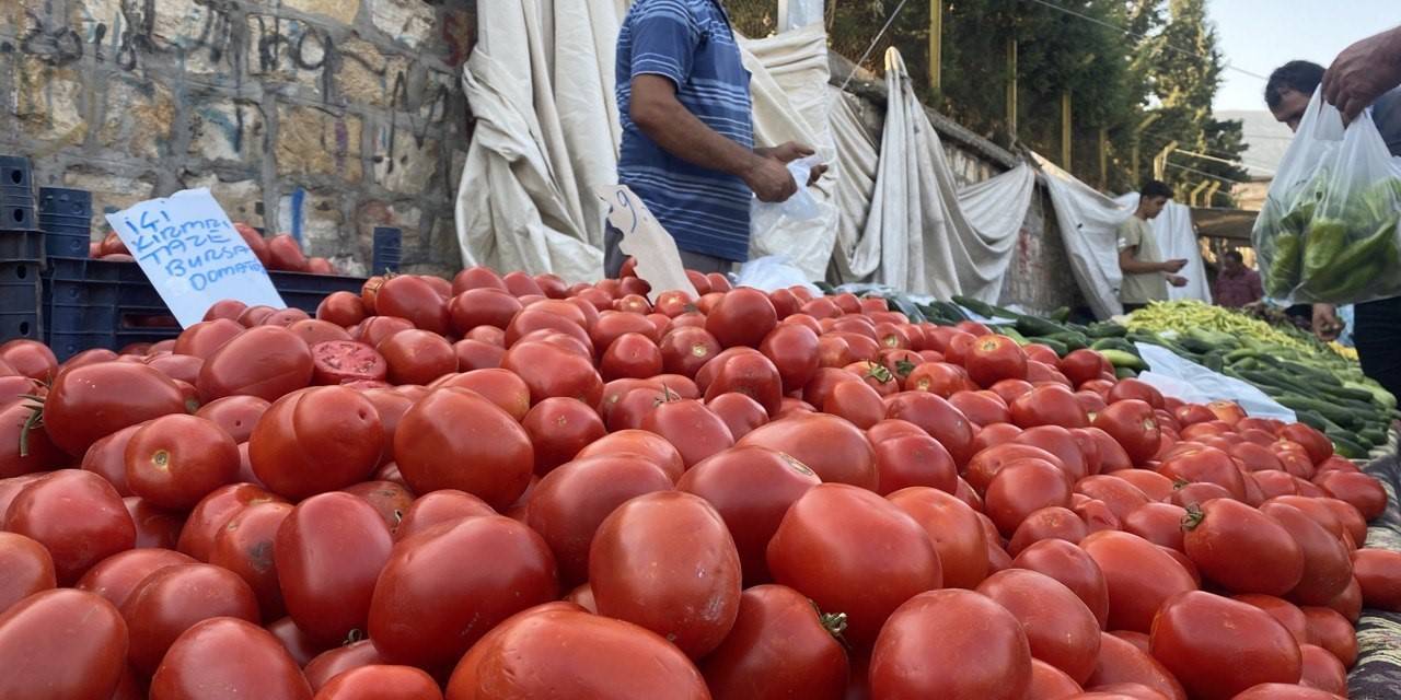 Salçalık Domates Ve Biberler Tezgahlarda