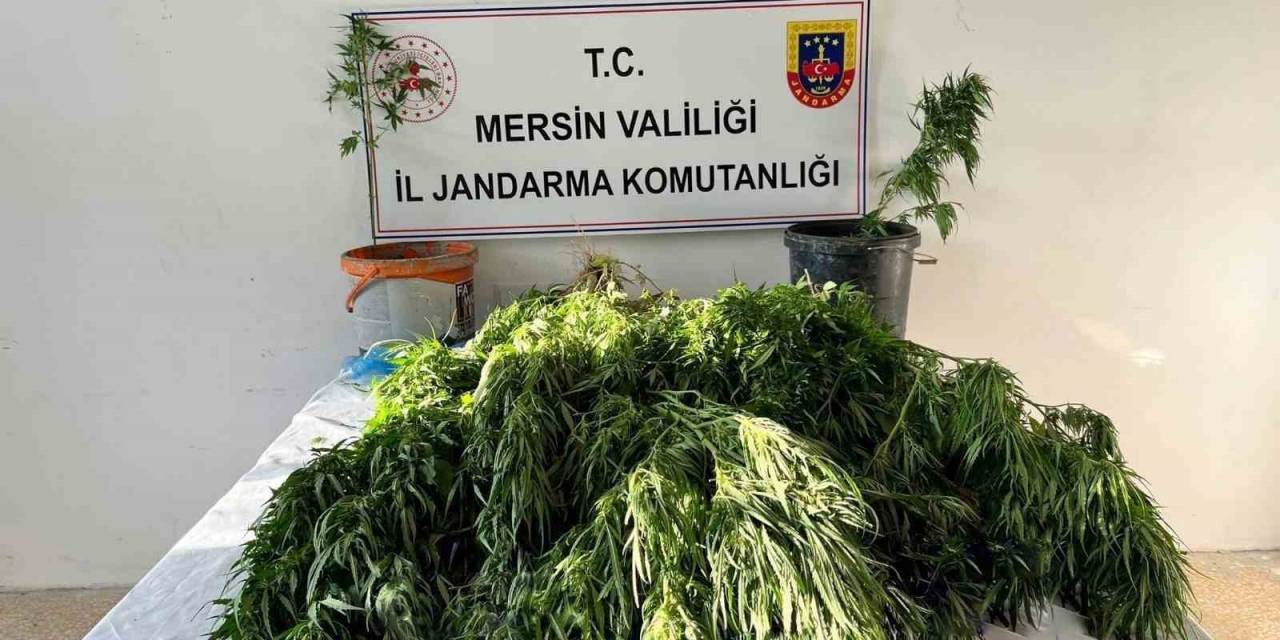 Mersin’de Uyuşturucu Satıcılarına Operasyon: 3 Gözaltı