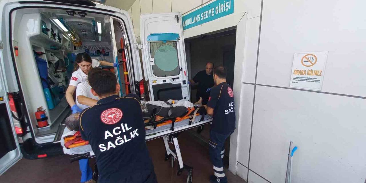Ağaçtan Düştü, Kalbine Dal Parçası Saplandı