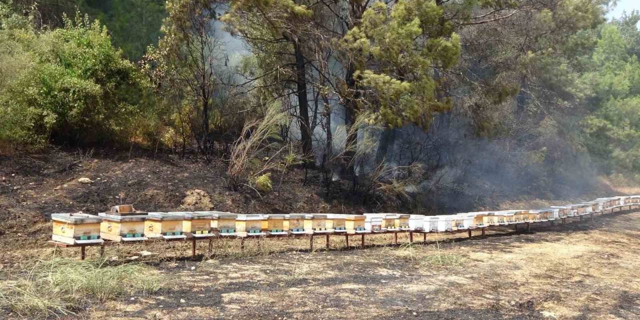 Yol Kenarında Başlayan Yangında Arı Kovanları Hızlı Müdahaleyle Kurtuldu