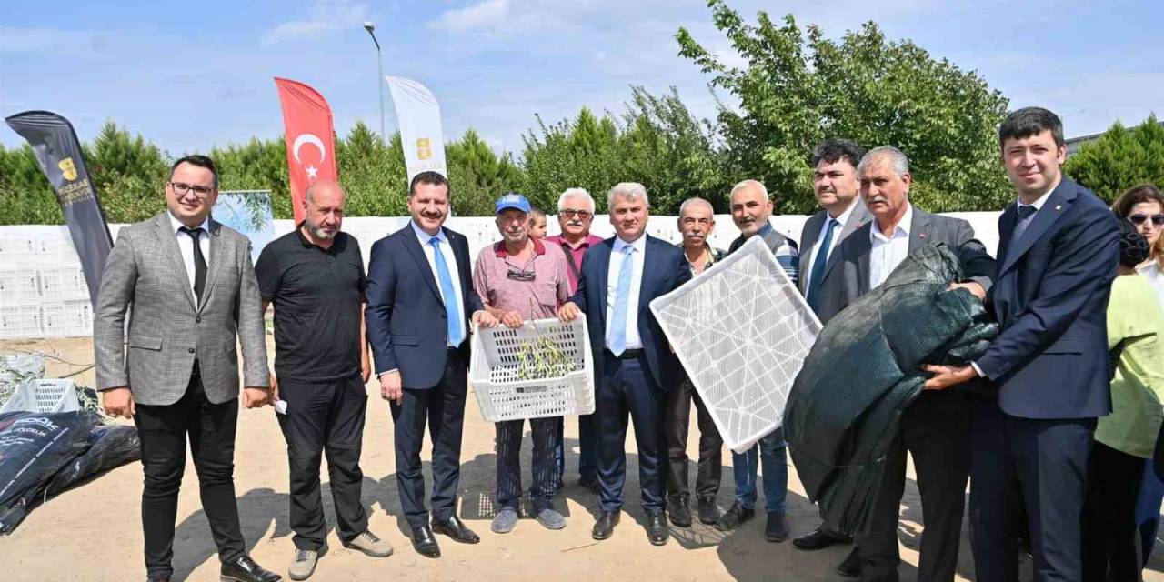 Büyükşehir’den Zeytin Ve İncir Üreticilerine Destek