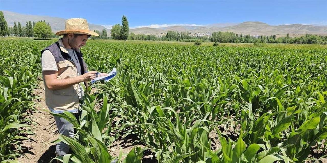 Çks’ye Başvurmayan Çiftçiler İçin Son Tarih 2 Ocak