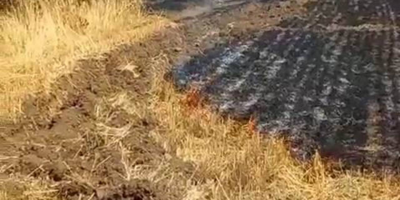 Trafodan Çıkan Kıvılcım Otluk Alanı Tutuşturdu