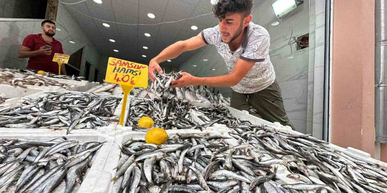 Karadeniz’de Hamsi Bolluğu: Kilosu 40 Tl