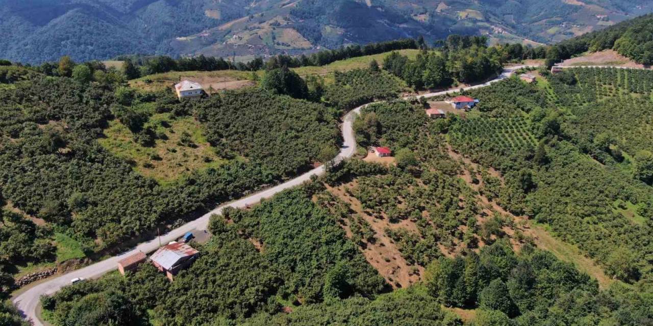 Yol Çilesi Bitti, Yüzler Güldü