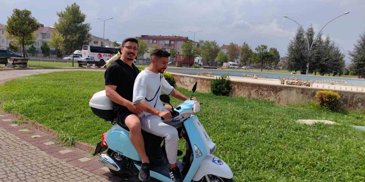 Şakir İsimli Papağan Motosikletle Şehir Turu Atıyor