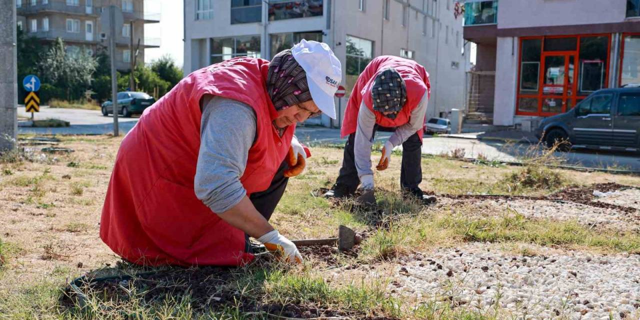 Uşak Belediyesi Çevre Düzenlenme Çalışmaları Devam Ediyor