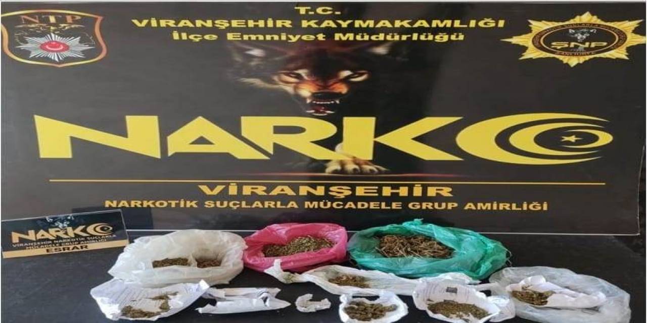 Şanlıurfa’da Torbacılara Operasyon: 8 Gözaltı