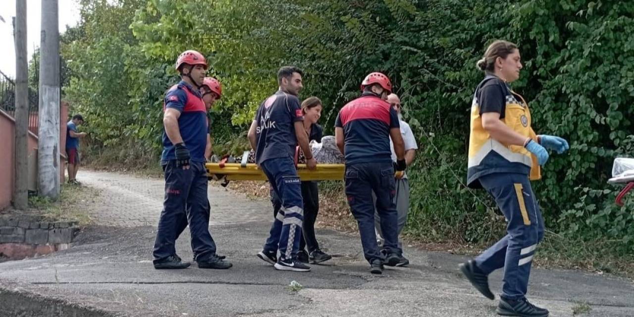Fındık Toplarken Ağaçtan Düşen Kişi Ayağını Kırdı