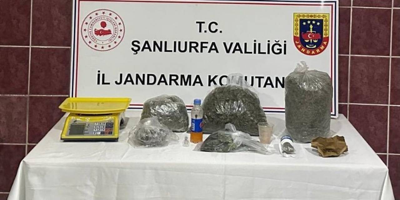Jandarmadan Uyuşturucu Operasyonu: 1 Gözaltı