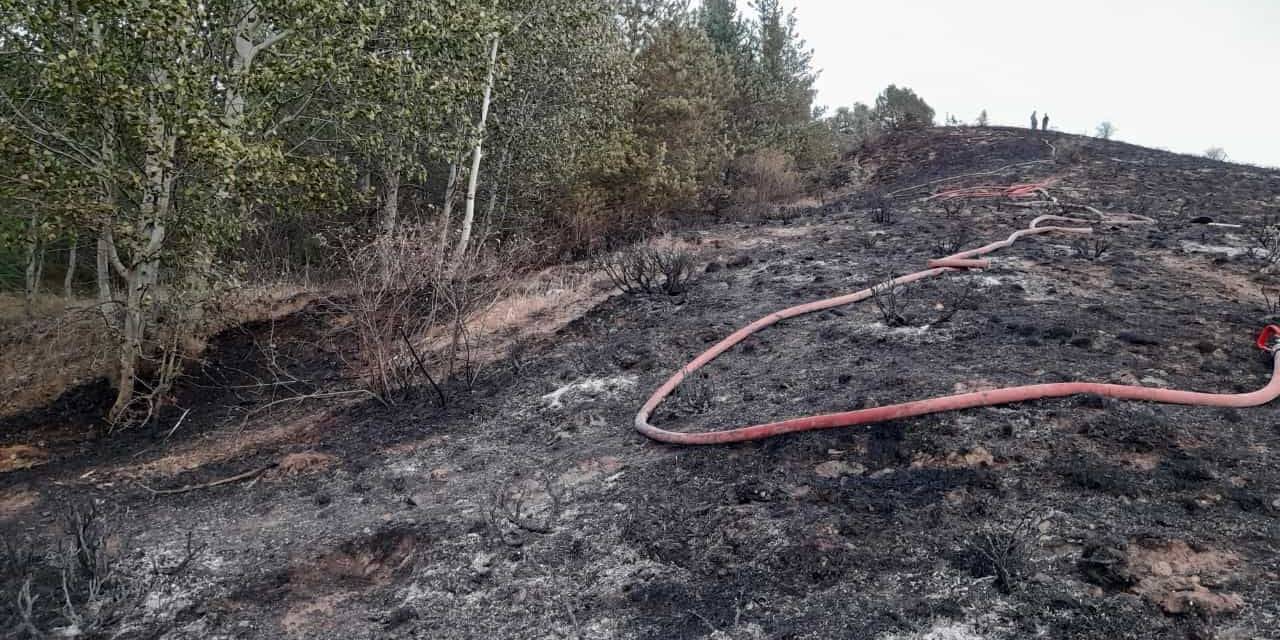 Gümüşhane’de İki Köyde Yangın Paniği