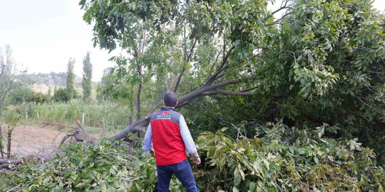 Gazeller’de Yaşanan Dolu Olayında Zarar 1 Milyon 617 Bin Tl