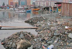 Giresun'un, Rizeli başbakan isyanı