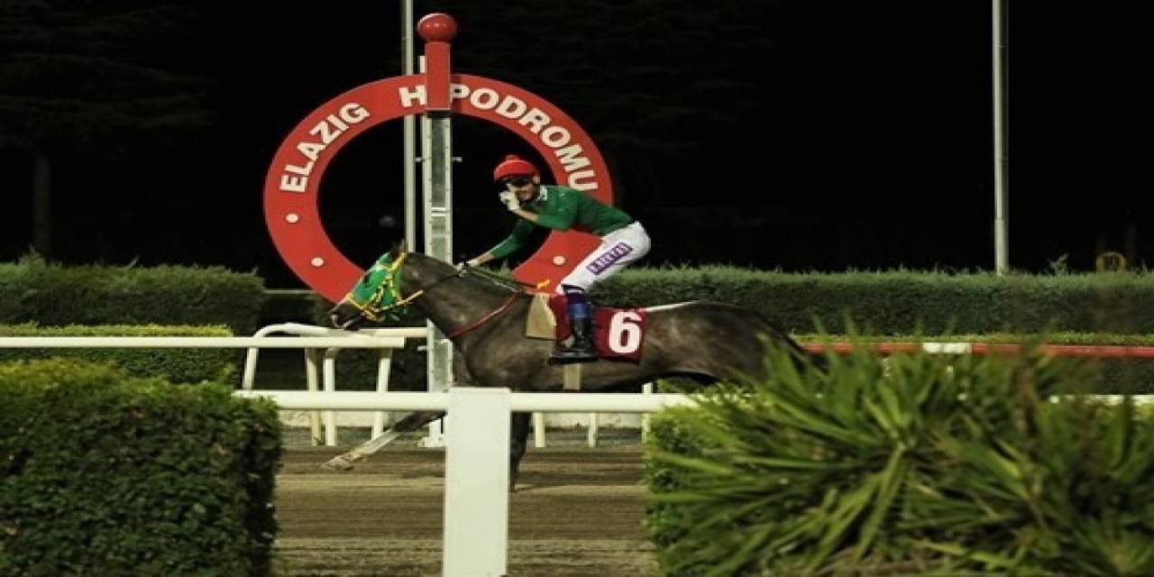 Prof. Dr. Mustafa Temizer Koşusunda Kazanan Göbeklitepe Ağası Oldu