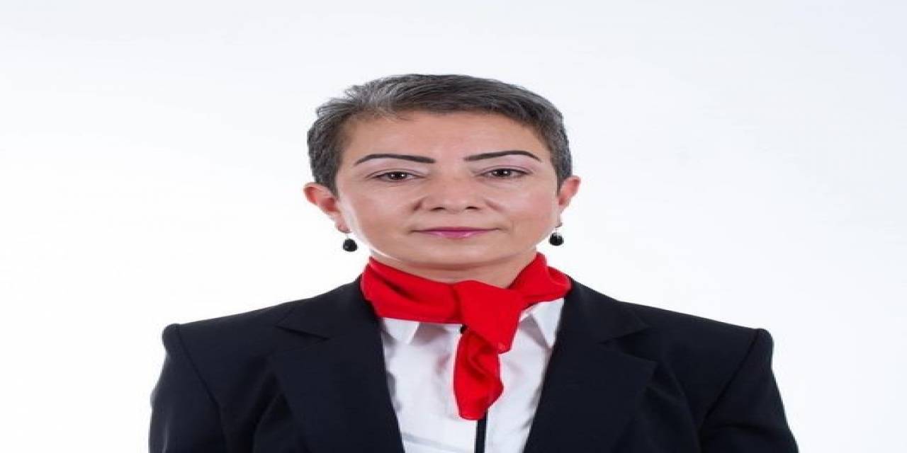 Belediye Meclis Üyesi Kadın Ve Oğlu Saldırıya Uğradı
