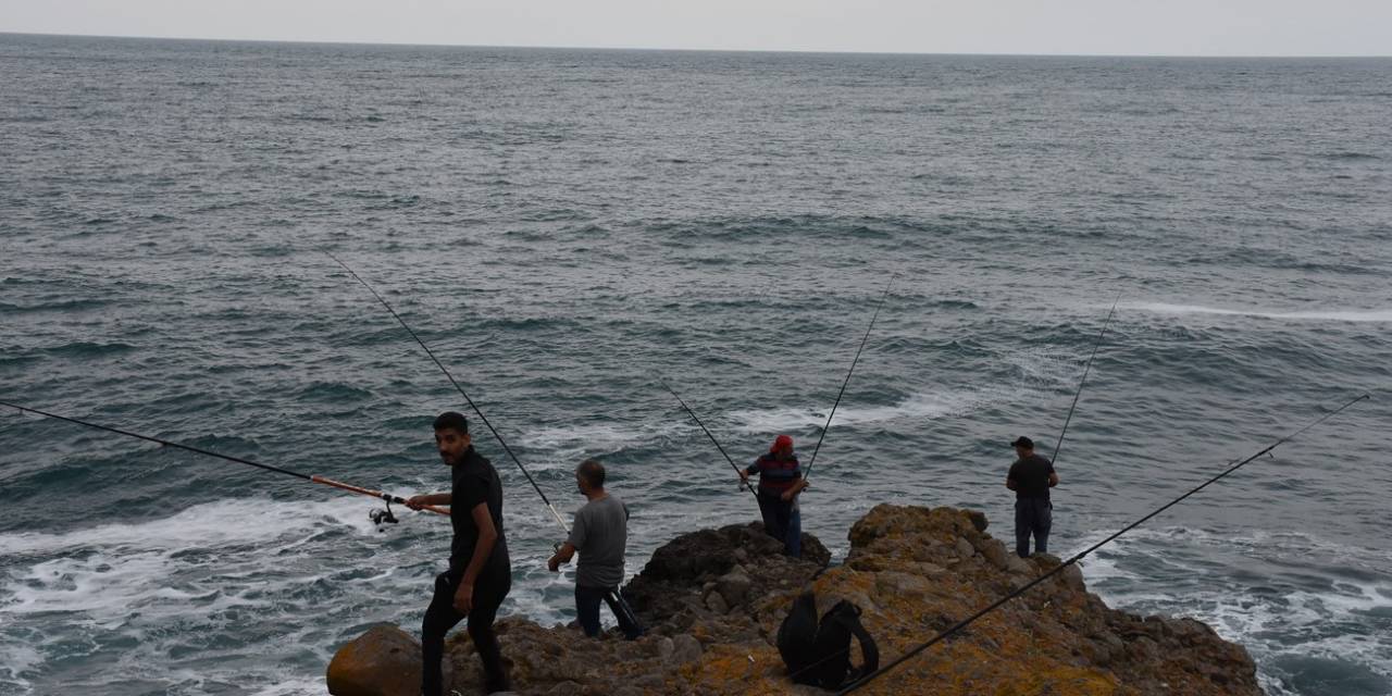 Tabiat Harikası Koyda Balık Avı
