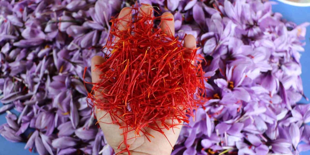 Safranbolu Safranı Avrupa Birliği Komisyonu Tarafından Tescillendi