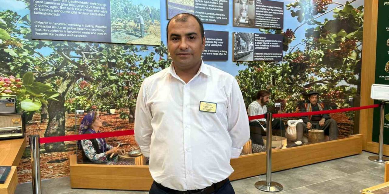 Fıstığın Başkenti Gaziantep’te Fıstığın Tarihine Yolculuk