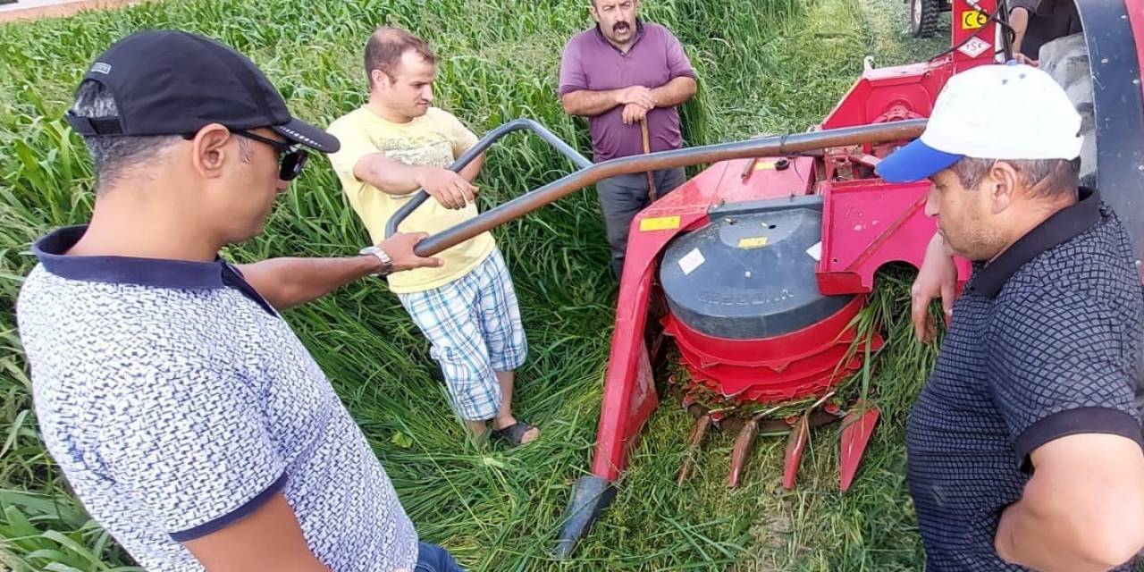 Sorgum Sudan Otu Melezi Hasadı Yapıldı