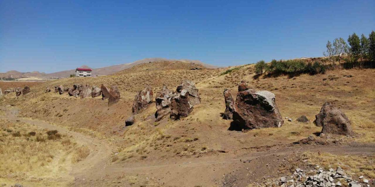 Yüzlerce Yıllık ’nemrut Develeri’ Bir Bir Yok Oluyor