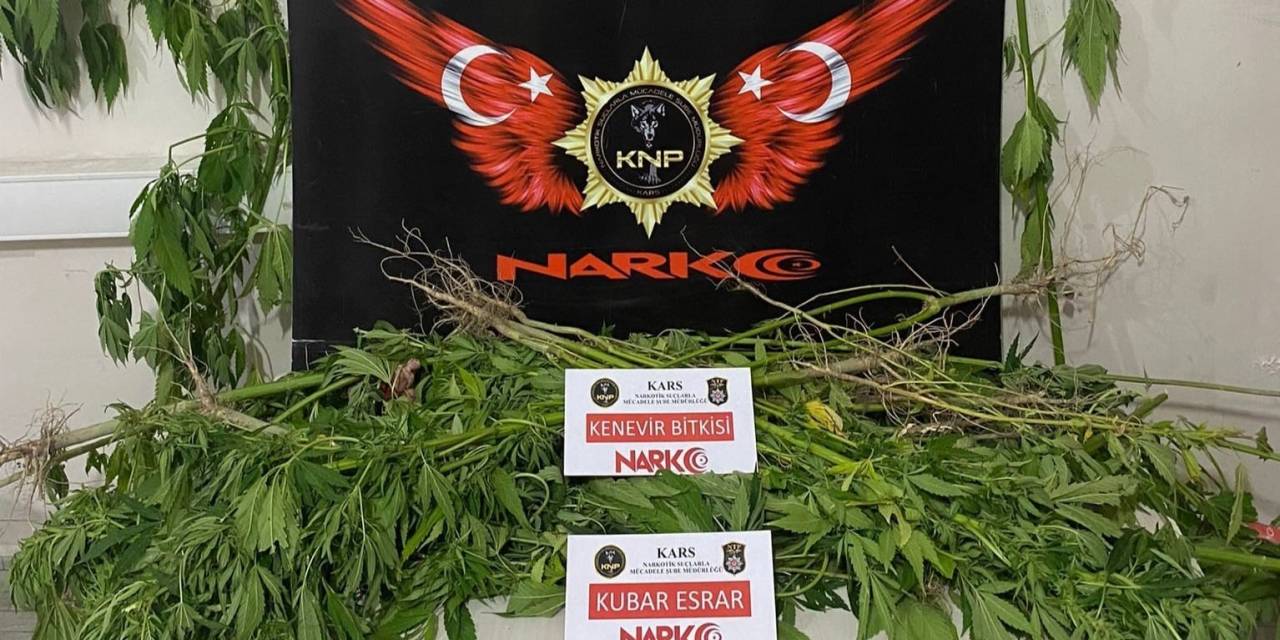 Kağızman’da Esrar Ve Hint Keneviri Ele Geçirildi