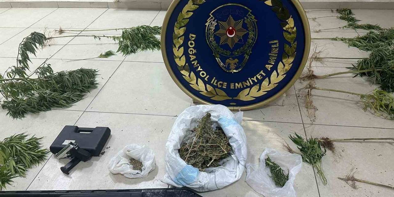 Doğanyol’da Uyuşturucu Operasyonu