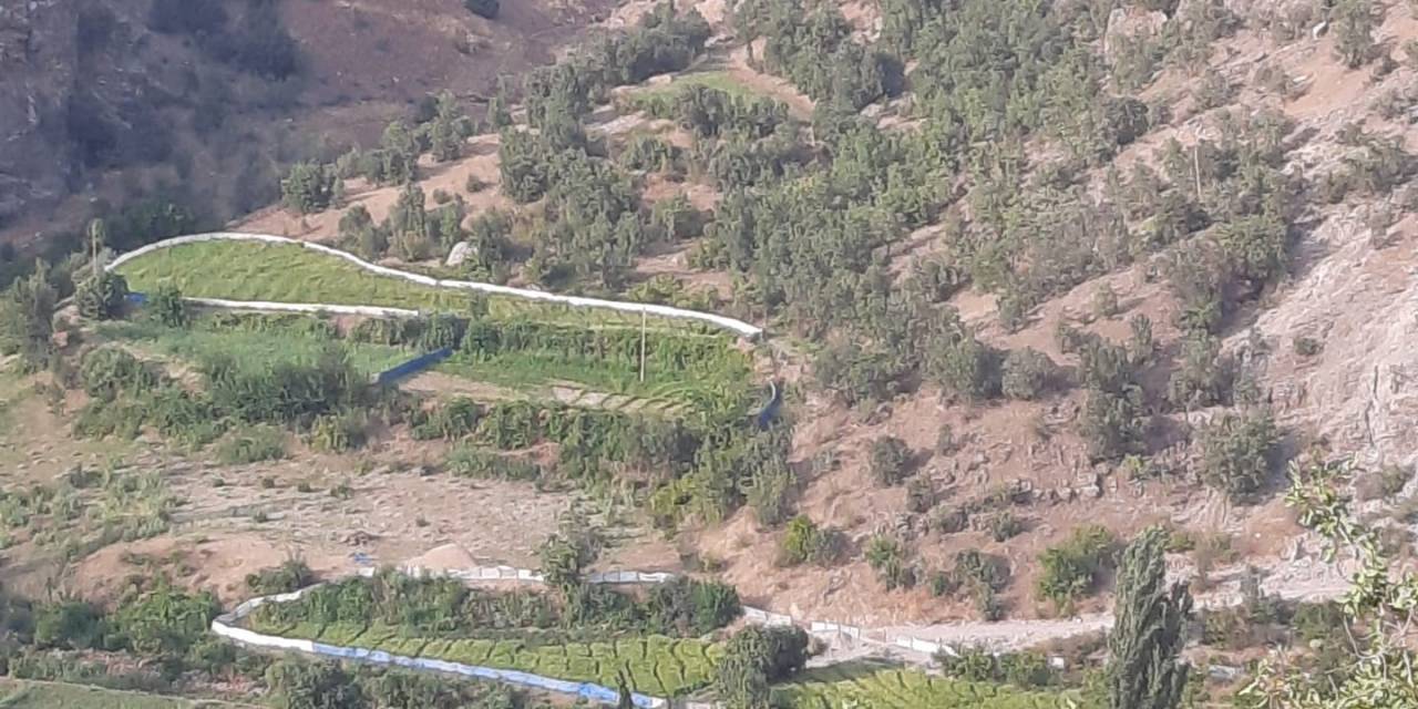 Çeltik Üreticilerinden Yaban Domuzları İçin Brandalı Çözüm