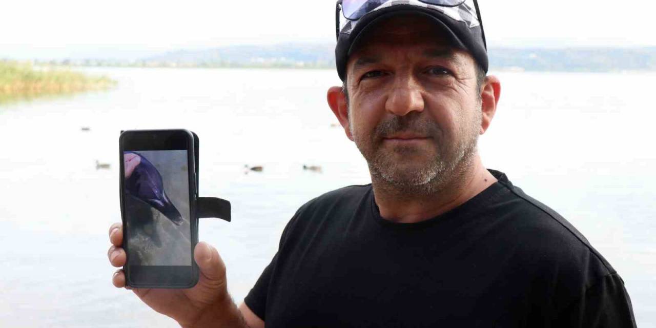 Yunus Balığına Fısıldayan Adam