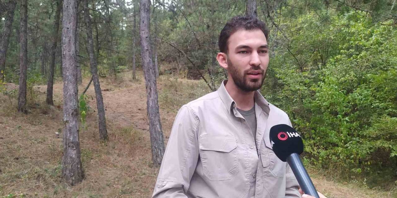 Nesli Tükenmekte Olan Ve 1974’ten Beri Görülmeyen Anadolu Parsı Genç Doğasever Tarafından Görüntülendi