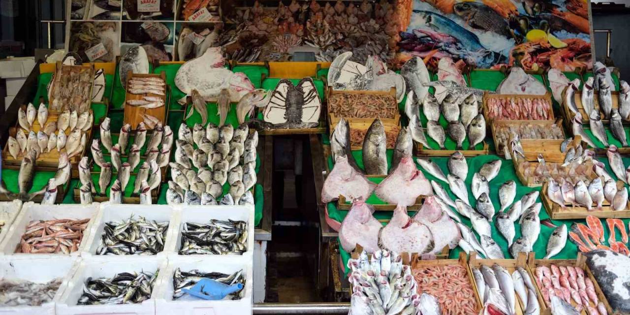 Balık Sezonu Hamsi Bolluğuyla Başladı