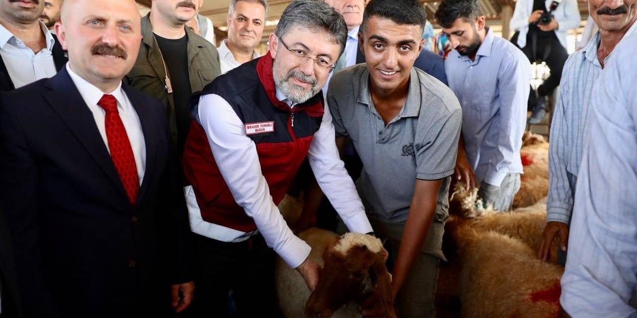 Depremden Etkilenen İllerde Küçükbaş, Kanatlı Hayvan Ve Arılı Kovan Dağıtımları Tamamlandı