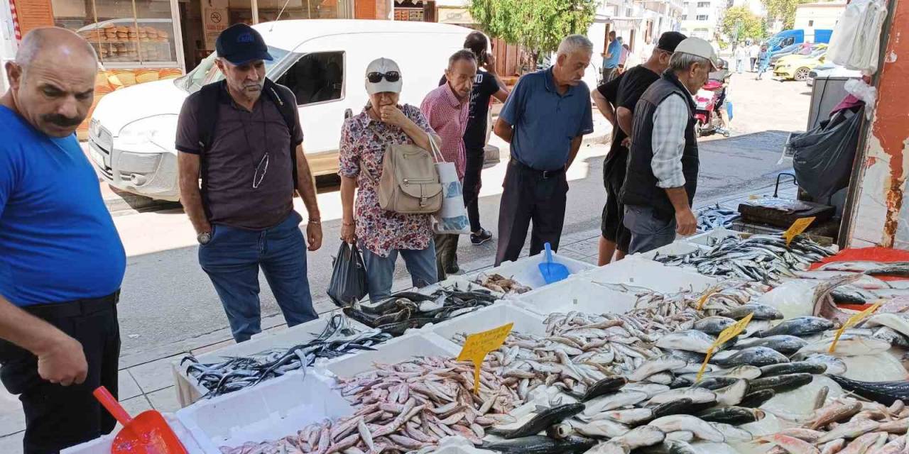 Balıkçı Tezgahının Bu Sezonki Starı ’hamsi’