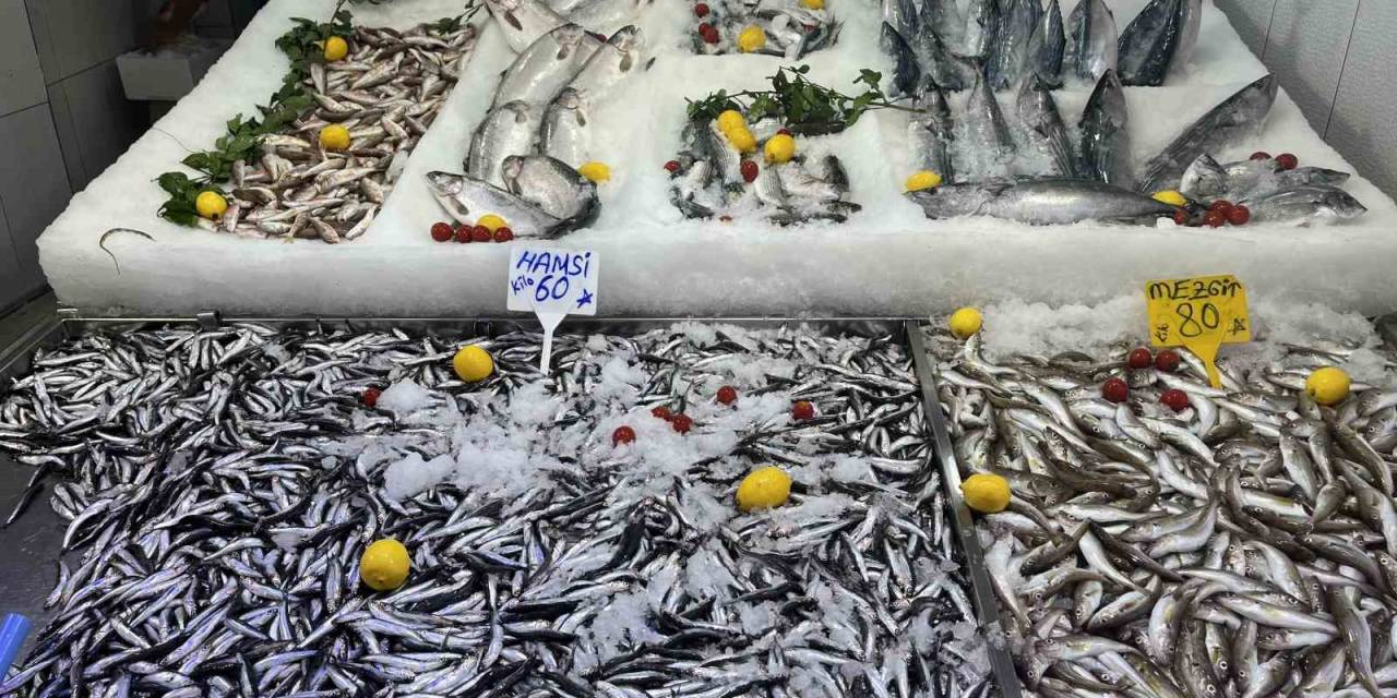 Sinop’ta Hamsi Tezgaha Geldi