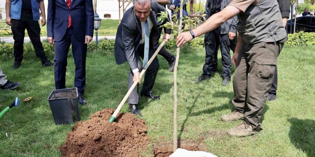 Gençlik Ve Spor Bakanı  Osman Aşkın Bak, Kendi Adına Hazırlanan Çınar Ağacı Fidesi Toprakla Buluşturdu