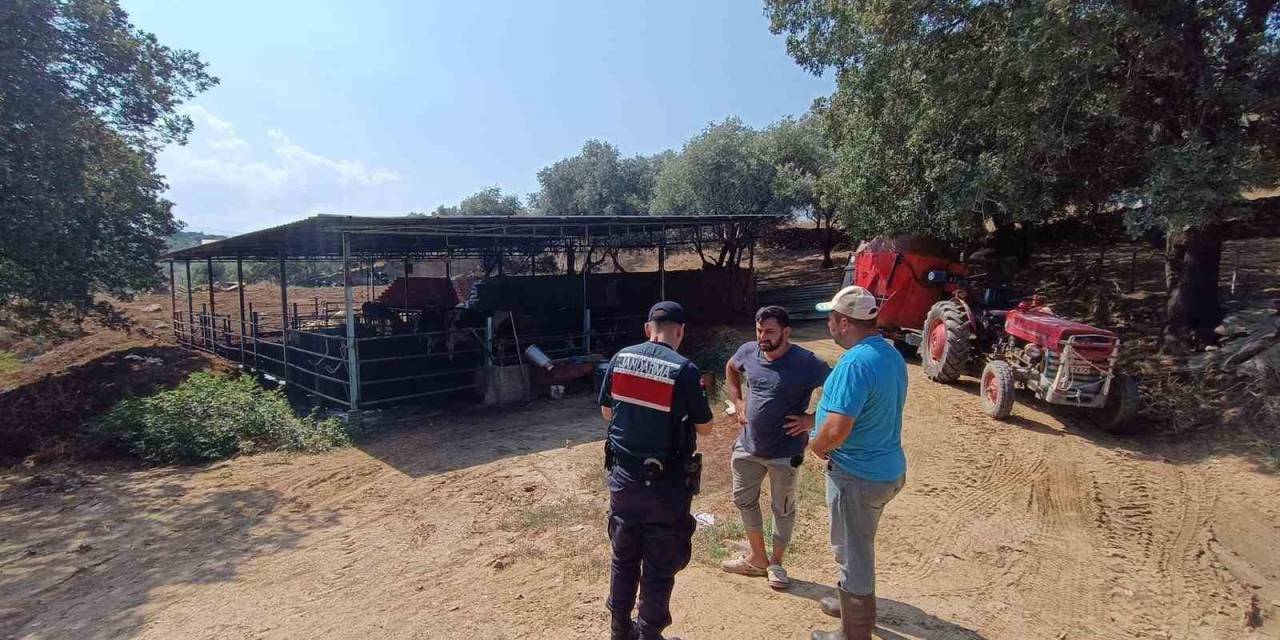 Jandarma Ekipleri Hayvan Sahiplerini Uyardı