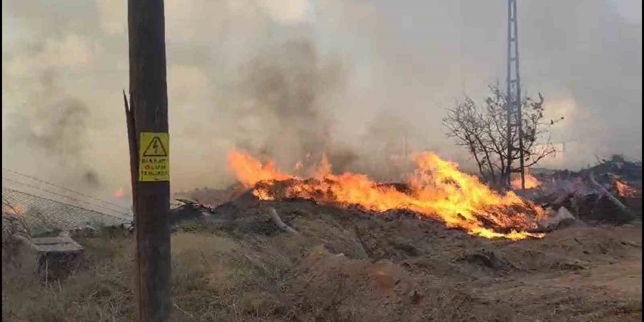 Yalova’da Arazi Ve Çöp Yangını