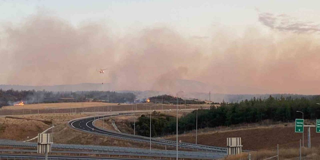 Gelibolu’daki Yangın Askeri Bölgede Devam Ediyor
