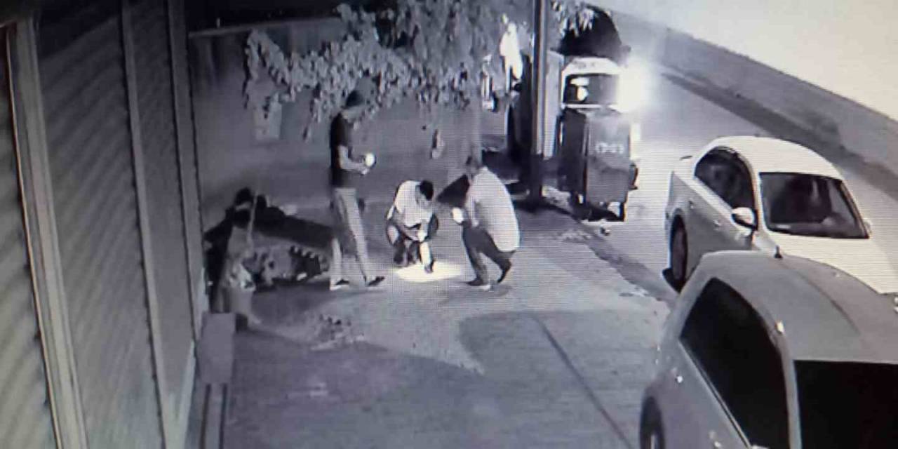 Dakikalarca Kalp Masajı Yapılan Kuş Hayata Döndürüldü