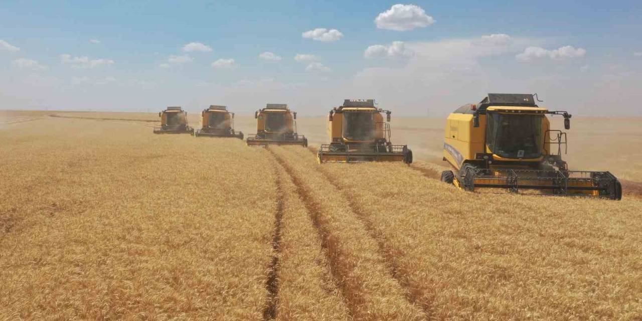 Tigem İşletmelerinden Hasat Rekoru: “392 Bin Ton”