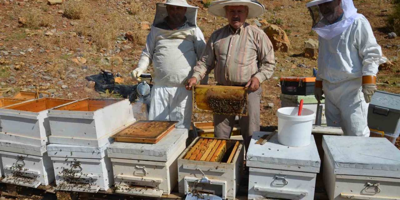 Antalya’da Bal Rekoltesi Düştü, Kilogramı 800 Liraya Kadar Çıktı