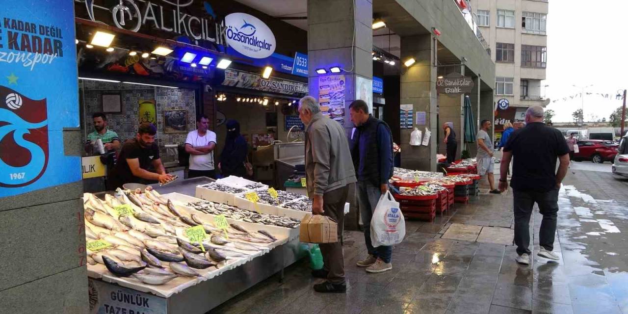 Trabzon’un Balığı Batı Karadeniz’den