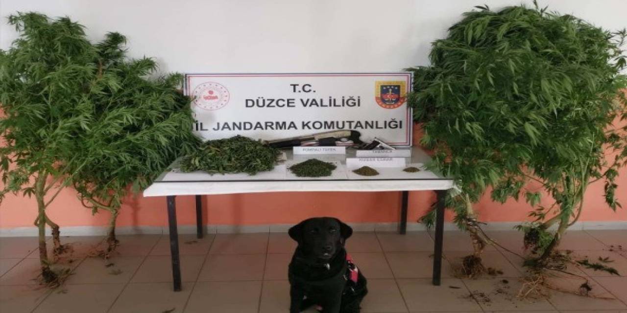 Uyuşturucu İmal Edilen Eve Jandarma Operasyonu
