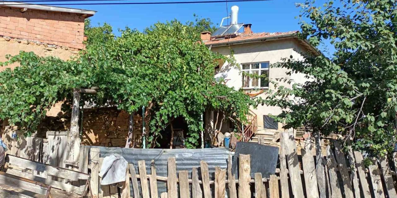 Kim Milyoner Olmak İster Yarışmasında 1 Milyon Lira Kazanan Rabia Göğercin Köyünün Gururu Oldu