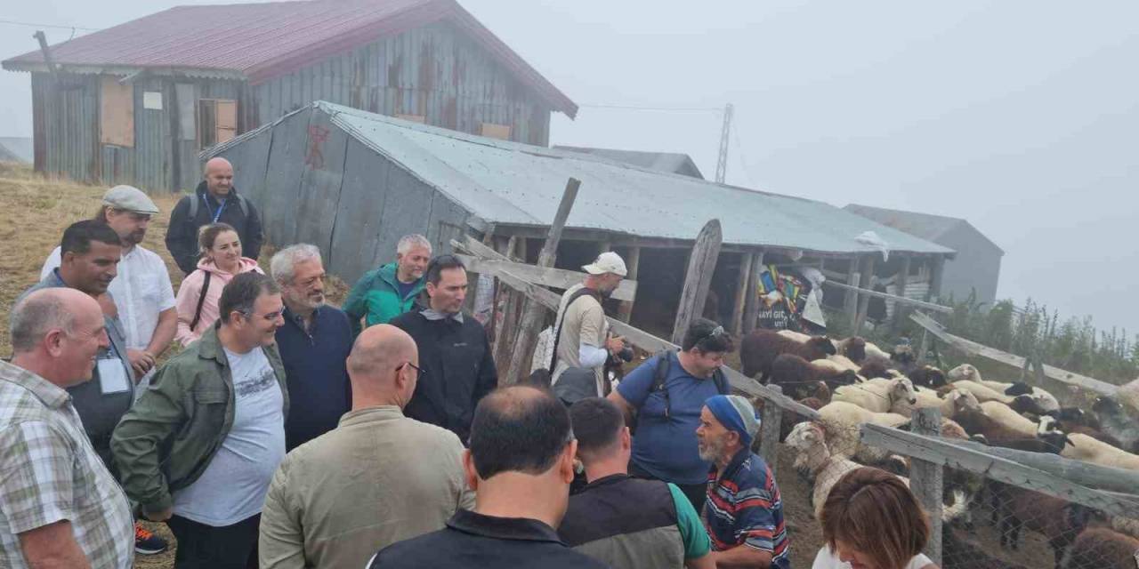 Uluslararası Çalıştay Dağlık Alanlardaki Arazi Gezisiyle Sona Erdi