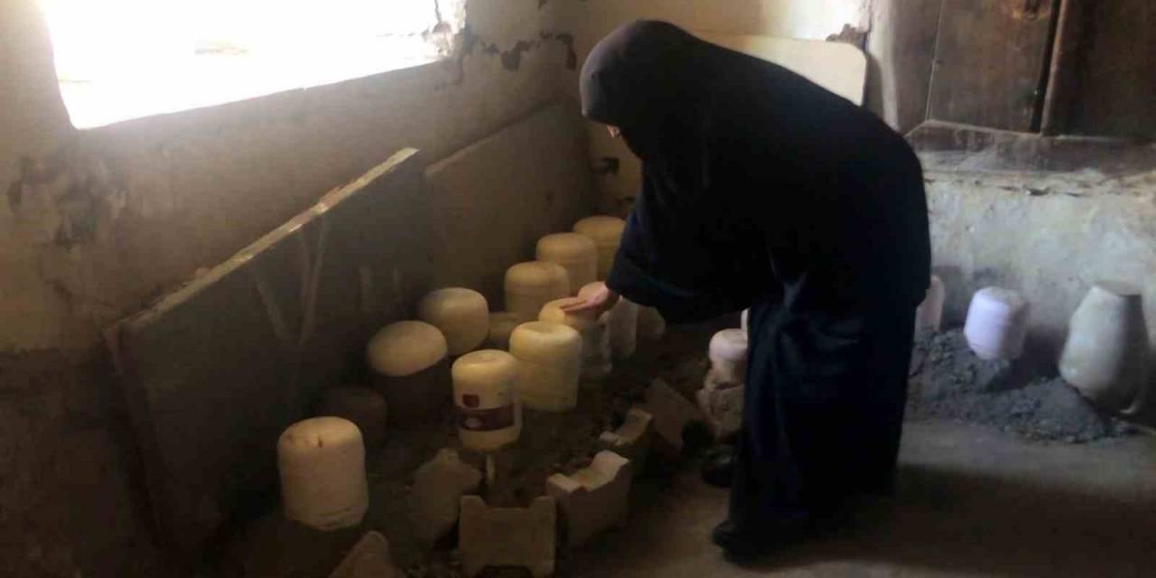 3 Asırlık Evde Günümüzde Peynirler Ağırlanıyor