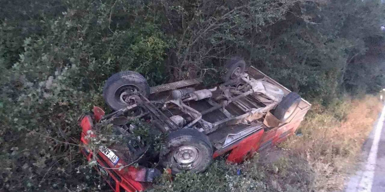Kastamonu’da Yola Çıkan Ceylana Kamyonet Çartı: 2 Yaralı