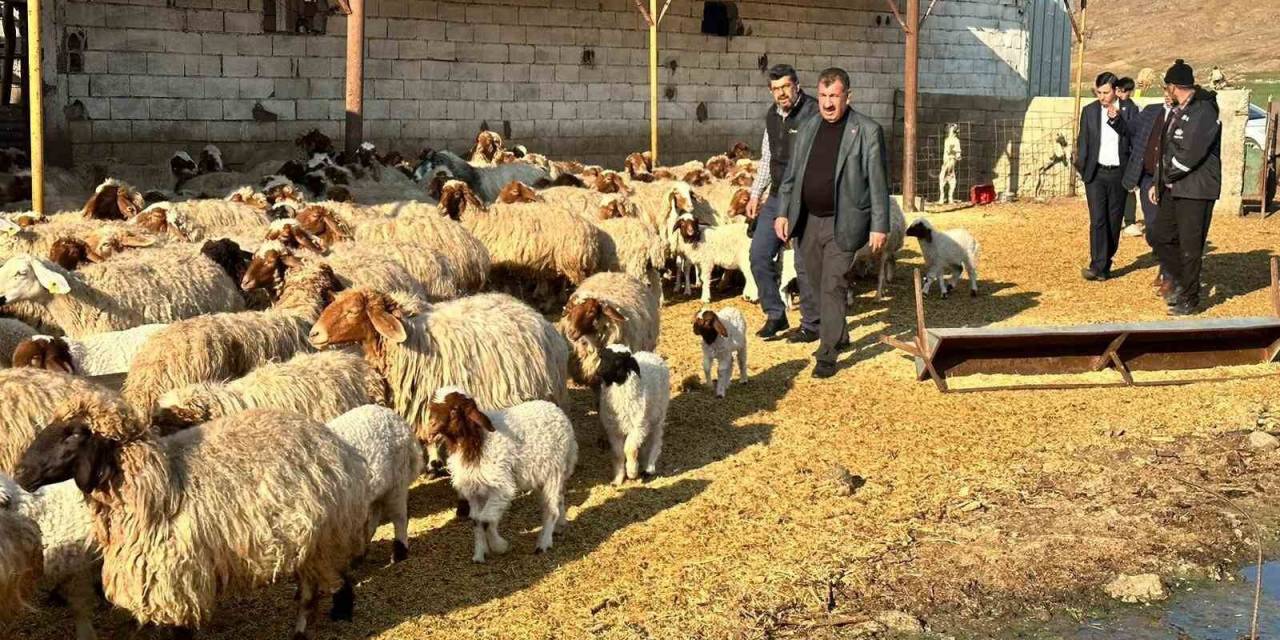 Tüdkiyeb Genel Başkanı Nihat Çelik: